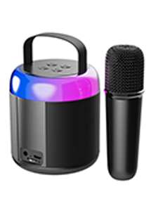 Home Singer Wireless Mini Speaker